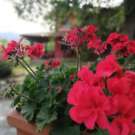La Borghesa