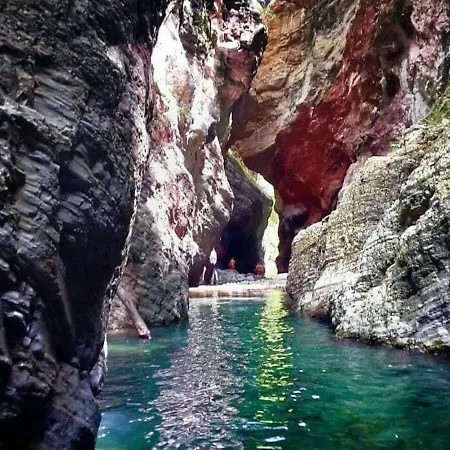 La Borghesa *